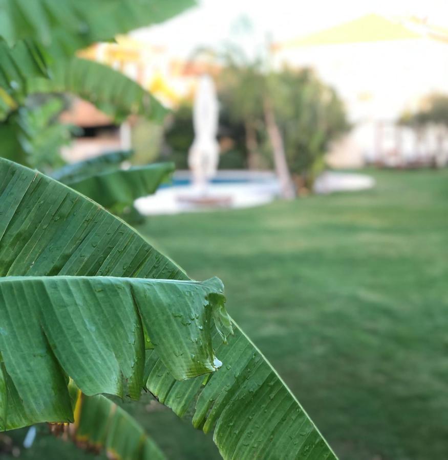 Triangulo Hotel Alaçatı Eksteriør billede